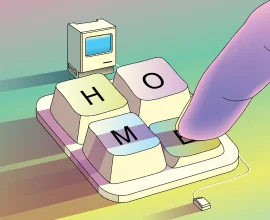 Web & Software Development