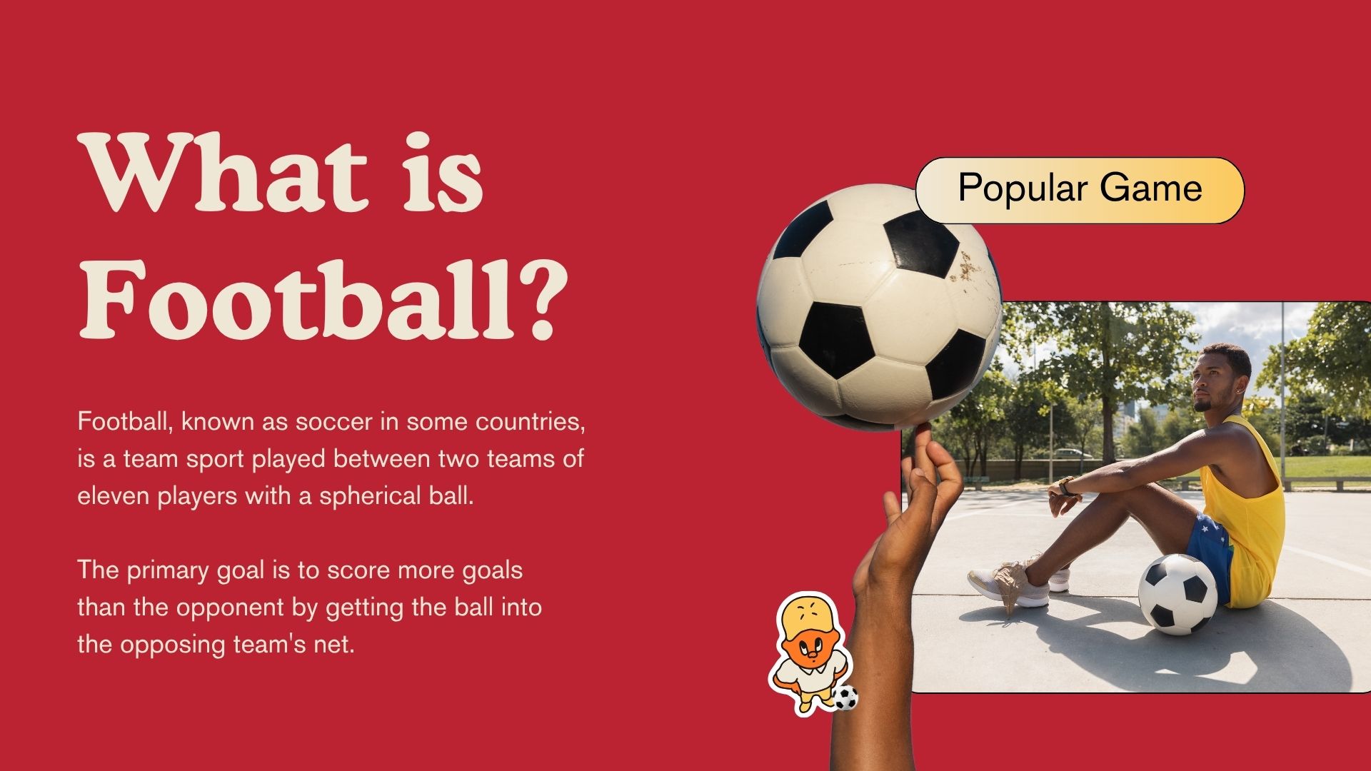 Sport Picks Betting Dashboard