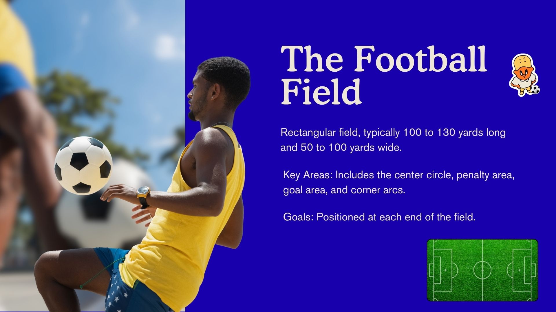 Sport Picks Complete Betting Ecosystem